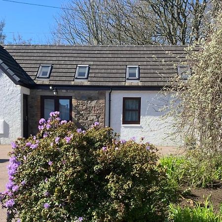 Gallery Cottage Aberdeen Zewnętrze zdjęcie
